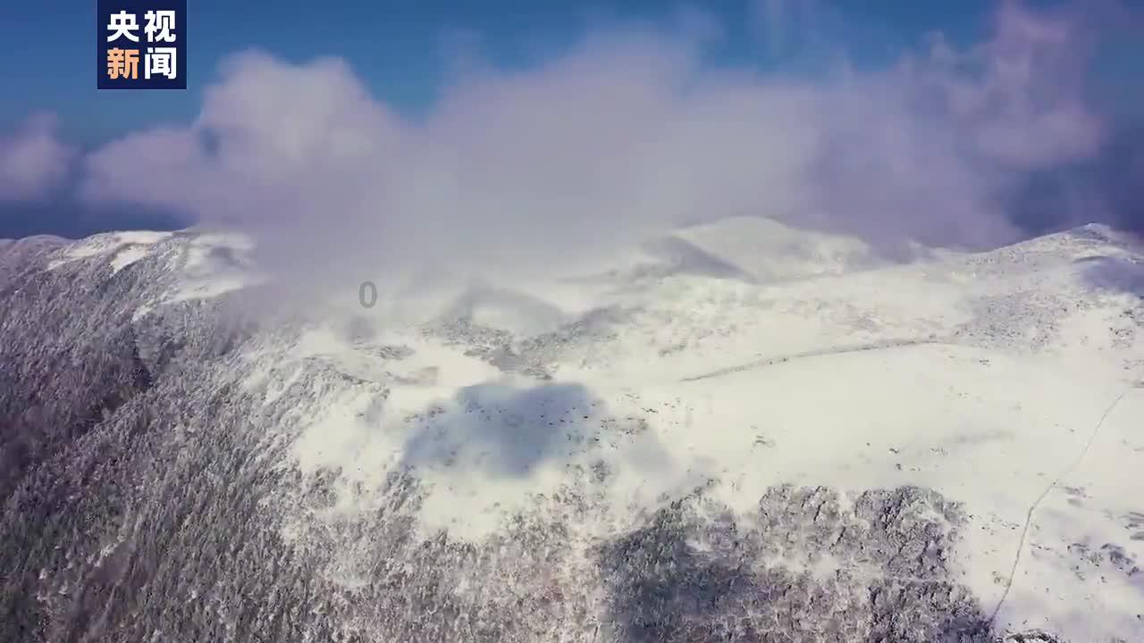 算术24点