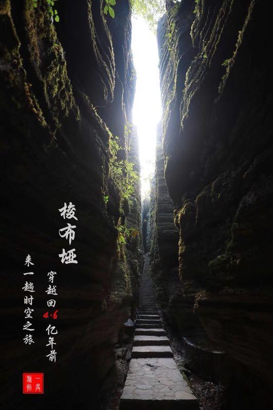 燃烧吧大脑免广告最新版